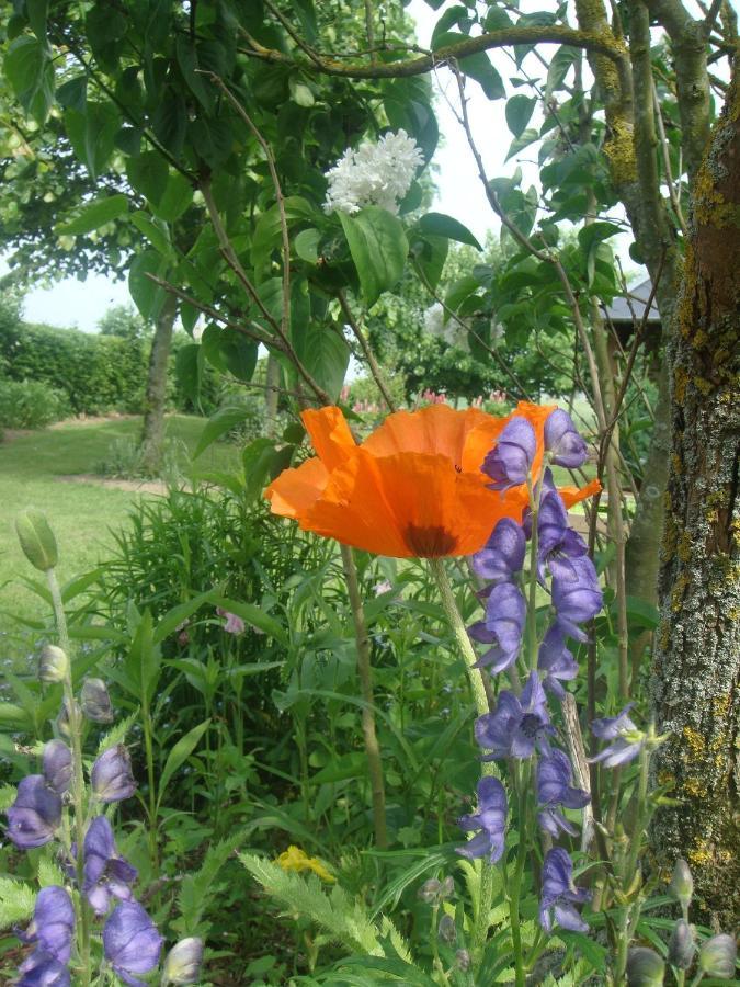Les Coquelicots * Nibas